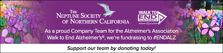 Decorative banner with link to March of Dimes donation page
